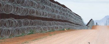 Correcaminos frente al muro fronterizo, premio a la mejor fotografía de ave del año