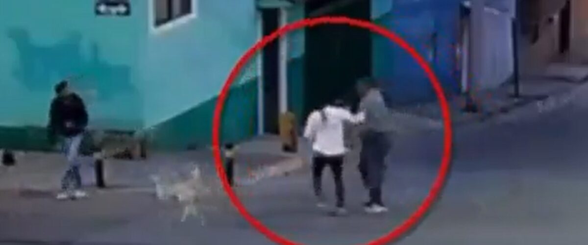 Un hombre ataca a perros y hiere a una mujer en Puebla, suscitando condena del gobernador Armenta por la violencia.