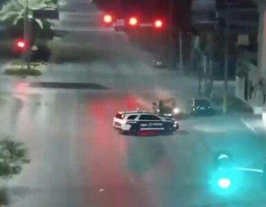 Un grupo delictivo fue desarticulado tras robar $100,000 en mercancía en Torreón; vecinos alertaron a las autoridades.