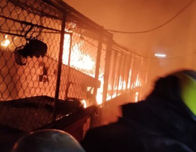 Un incendio en el Mercado Héroes de Nacozari de Guadalajara deja daños en dos locales, bomberos intervienen rápidamente.