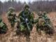 La pausa en el programa de defensa entre Estados Unidos y Canadá podría redefinir relaciones en la OTAN.
