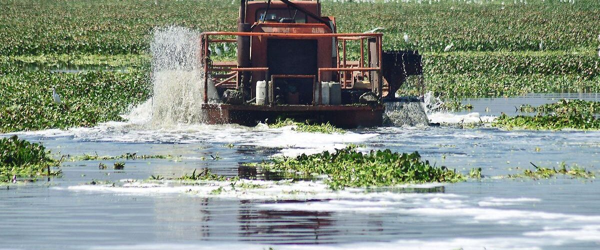 Descubre las cuencas de ríos en México que requieren acciones inmediatas de limpieza por su alta contaminación.