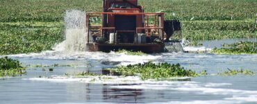 Descubre las cuencas de ríos en México que requieren acciones inmediatas de limpieza por su alta contaminación.