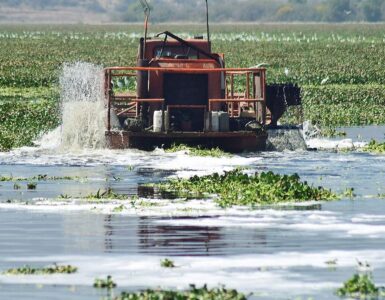 Descubre las cuencas de ríos en México que requieren acciones inmediatas de limpieza por su alta contaminación.
