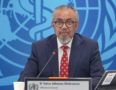 La OMS alerta sobre cinco casos de hantavirus vinculados a un crucero en el Atlántico. Argentina colabora enviando pruebas.