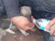 Bomberos salvan a un cachorro abandonado en el incendio del relleno sanitario, un acto lleno de valentía y compasión.