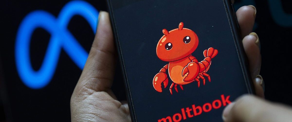 Descubre Moltbook, la primera red social exclusiva de robots, donde los humanos solo son observadores.