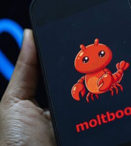 Descubre Moltbook, la primera red social exclusiva de robots, donde los humanos solo son observadores.