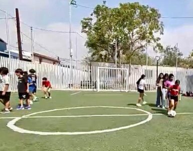 Este verano, Santa Catarina ofrece campamentos gratuitos para niños, promoviendo el arte y la cultura en vacaciones.