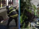 Las recientes lluvias en CDMX y Edomex han generado estragos en la cultura pop y la vida cotidiana.