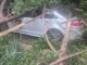 Un árbol de grandes dimensiones se desplomó en Tabacalera, causando lesiones a tres individuos y afectando vehículos.