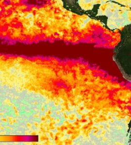 La ONU advierte sobre la creciente fuerza de El Niño, que impactará notablemente el clima global hasta febrero.