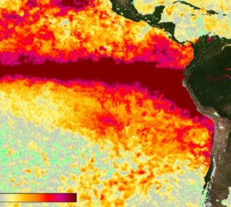 La ONU advierte sobre la creciente fuerza de El Niño, que impactará notablemente el clima global hasta febrero.