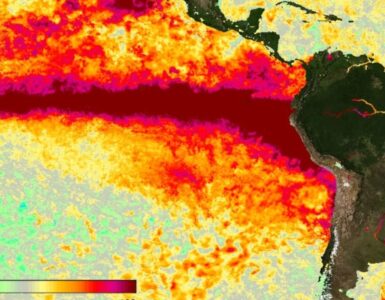 La ONU advierte sobre la creciente fuerza de El Niño, que impactará notablemente el clima global hasta febrero.