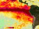 La ONU advierte sobre la creciente fuerza de El Niño, que impactará notablemente el clima global hasta febrero.
