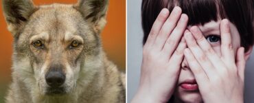 La muerte de Marcos Rodríguez Pantoja, conocido como el niño lobo, marca el fin de una historia asombrosa tras 12 años de aislamiento.