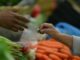 Los precios globales de alimentos como cereales y aceites tienen un aumento significativo. Descubre las cifras aquí.