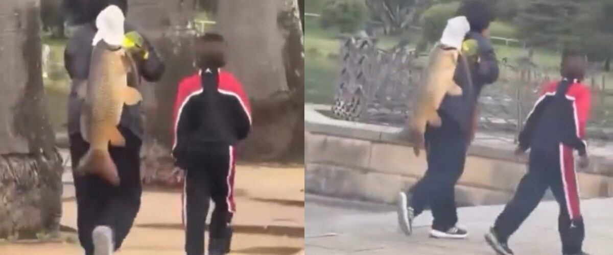 Una mujer fue señalada por sacar un pez invasor de un parque en Sídney, generando debate sobre la conservación