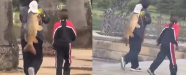 Una mujer fue señalada por sacar un pez invasor de un parque en Sídney, generando debate sobre la conservación