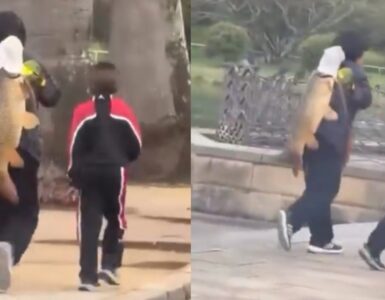 Una mujer fue señalada por sacar un pez invasor de un parque en Sídney, generando debate sobre la conservación