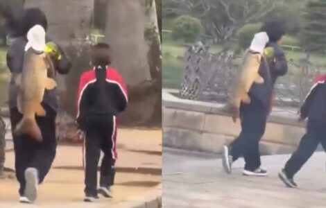 Una mujer fue señalada por sacar un pez invasor de un parque en Sídney, generando debate sobre la conservación