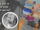 Una mujer comparte un video donde asegura que sus perros visitaron su altar en Día de Muertos, generando interés y emociones.